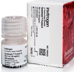 10003D  免疫沉淀的 Dynabeads™ 蛋白 G  1ml  现货