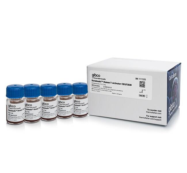 11131D  用于 T 细胞扩增和活化的 Dynabeads™ 人 T 活化剂 CD3/CD28   2ml